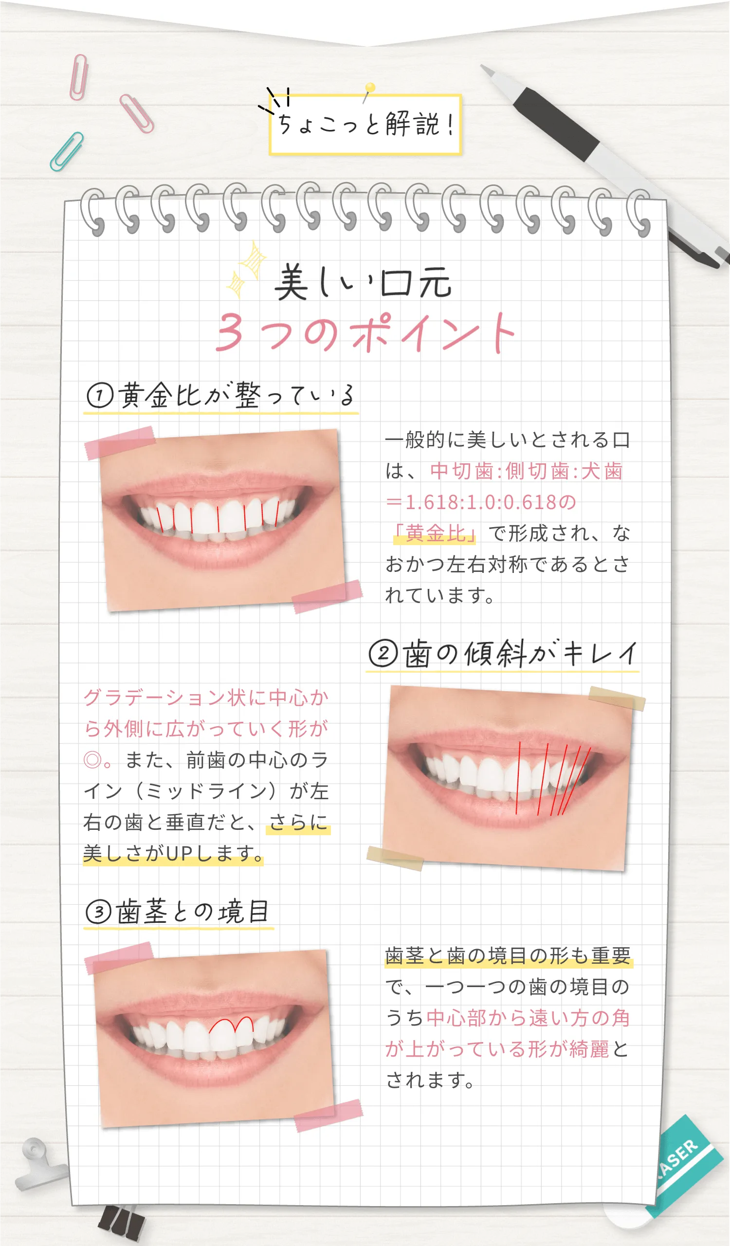 美しい口元3つのポイント,黄金比が整っている,歯の斜傾がキレイ,歯茎との境目